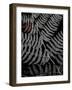 Secret 6-Design Fabrikken-Framed Photographic Print