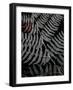 Secret 6-Design Fabrikken-Framed Photographic Print