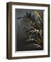 Secret 8-Design Fabrikken-Framed Photographic Print