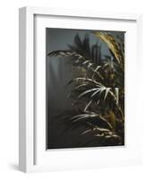 Secret 8-Design Fabrikken-Framed Photographic Print