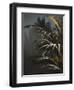 Secret 8-Design Fabrikken-Framed Photographic Print