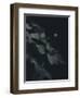 Secret 9-Design Fabrikken-Framed Photographic Print