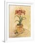 Secret Amaryllis I-Cheri Blum-Framed Art Print