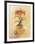 Secret Amaryllis I-Cheri Blum-Framed Art Print