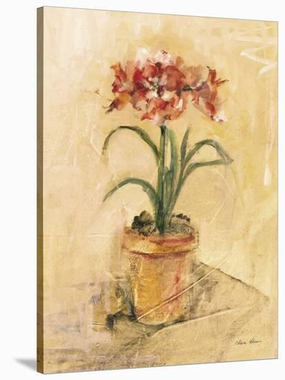 Secret Amaryllis I-Cheri Blum-Stretched Canvas