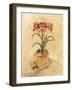 Secret Amaryllis I-Cheri Blum-Framed Art Print