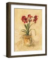 Secret Amaryllis II-Cheri Blum-Framed Art Print