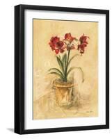 Secret Amaryllis II-Cheri Blum-Framed Art Print