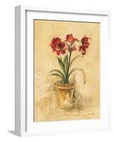 Secret Amaryllis II-Cheri Blum-Framed Art Print