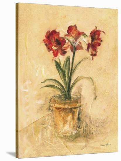 Secret Amaryllis II-Cheri Blum-Stretched Canvas