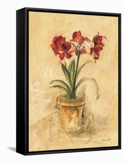 Secret Amaryllis II-Cheri Blum-Framed Stretched Canvas