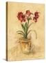 Secret Amaryllis II-Cheri Blum-Stretched Canvas