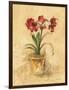 Secret Amaryllis II-Cheri Blum-Framed Art Print