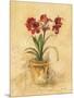 Secret Amaryllis II-Cheri Blum-Mounted Art Print