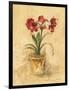 Secret Amaryllis II-Cheri Blum-Framed Art Print