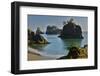 Secret Beach, Boardman State Park, Oregon, USA-Michel Hersen-Framed Photographic Print