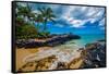Secret Beach, Maui-Shane Myers Photography-Framed Stretched Canvas