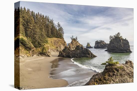 Secret Beach, Oregon, USA. Sea stacks at Secret Beach.-Emily Wilson-Stretched Canvas