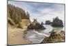 Secret Beach, Oregon, USA. Sea stacks at Secret Beach.-Emily Wilson-Mounted Photographic Print