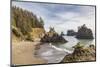 Secret Beach, Oregon, USA. Sea stacks at Secret Beach.-Emily Wilson-Mounted Photographic Print