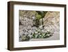 Secret Beach, Oregon, USA. Small creek flowing onto Secret Beach.-Emily Wilson-Framed Photographic Print