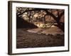 Secret Beach, Puerta Vallarta, Mexico-Walter Bibikow-Framed Photographic Print