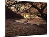 Secret Beach, Puerta Vallarta, Mexico-Walter Bibikow-Mounted Photographic Print