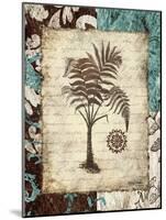 Secret Fern III-Michael Marcon-Mounted Art Print