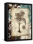 Secret Fern III-Michael Marcon-Framed Stretched Canvas