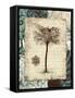 Secret Fern IV-Michael Marcon-Framed Stretched Canvas