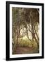 Secret Garden I-Karyn Millet-Framed Photographic Print