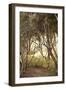 Secret Garden I-Karyn Millet-Framed Photographic Print