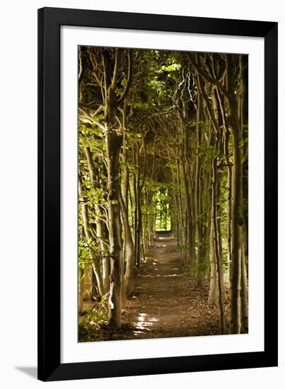 Secret Garden III-Karyn Millet-Framed Photographic Print