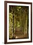 Secret Garden III-Karyn Millet-Framed Photographic Print