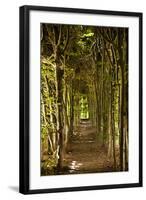 Secret Garden III-Karyn Millet-Framed Photographic Print