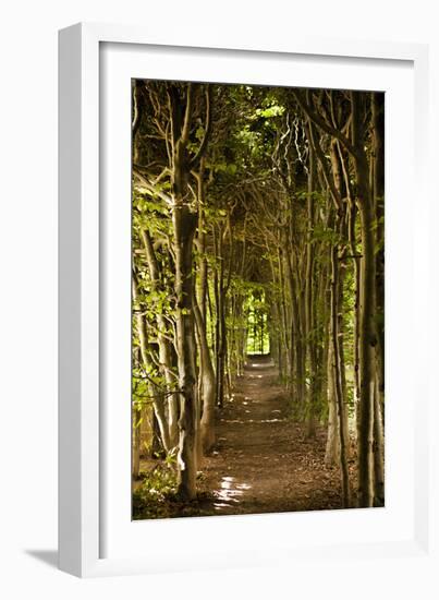 Secret Garden III-Karyn Millet-Framed Photographic Print