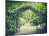 Secret Garden in Vintage Style-lukaszimilena-Mounted Photographic Print