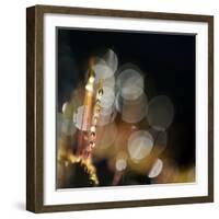 Secret Garden-Ursula Abresch-Framed Photographic Print