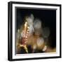 Secret Garden-Ursula Abresch-Framed Photographic Print