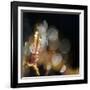 Secret Garden-Ursula Abresch-Framed Photographic Print