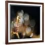 Secret Garden-Ursula Abresch-Framed Photographic Print