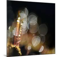 Secret Garden-Ursula Abresch-Mounted Photographic Print