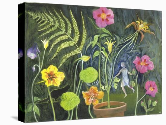 Secret Garden-Mary Kuper-Stretched Canvas