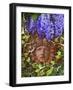 Secret Garden-Tina Lavoie-Framed Giclee Print