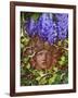 Secret Garden-Tina Lavoie-Framed Giclee Print