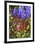 Secret Garden-Tina Lavoie-Framed Giclee Print