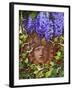 Secret Garden-Tina Lavoie-Framed Giclee Print