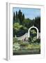 Secret Garden-Debbi Wetzel-Framed Giclee Print