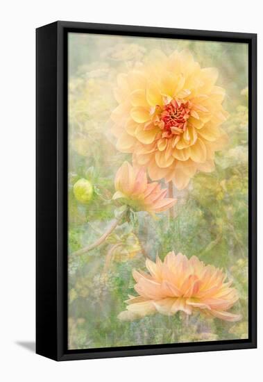 Secret Garden-Jacky Parker-Framed Stretched Canvas