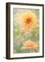 Secret Garden-Jacky Parker-Framed Giclee Print